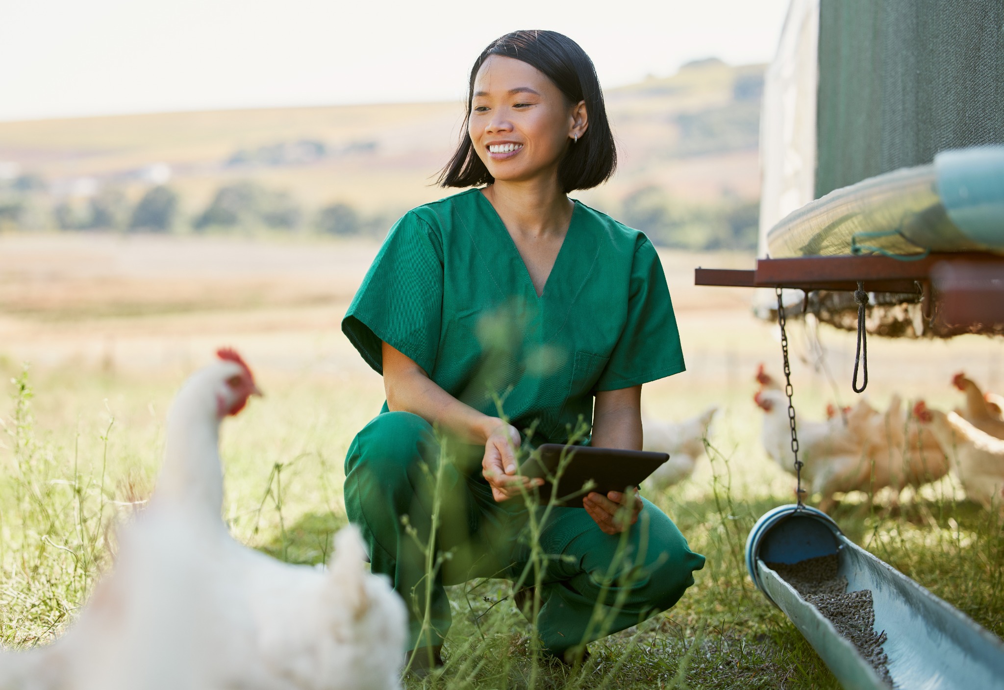 Three Questions Mobile Vets Should Ask When Choosing Practice Management Software