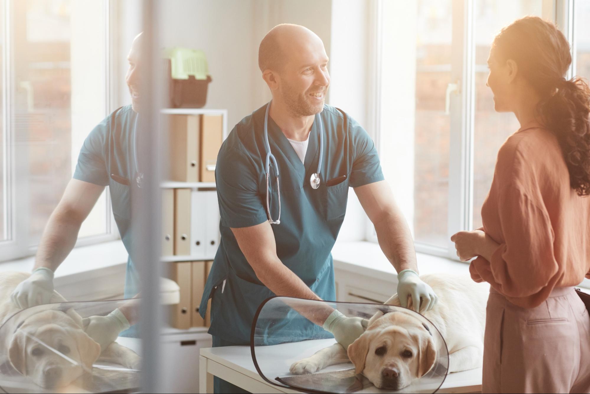 Doctor with Patient and Client