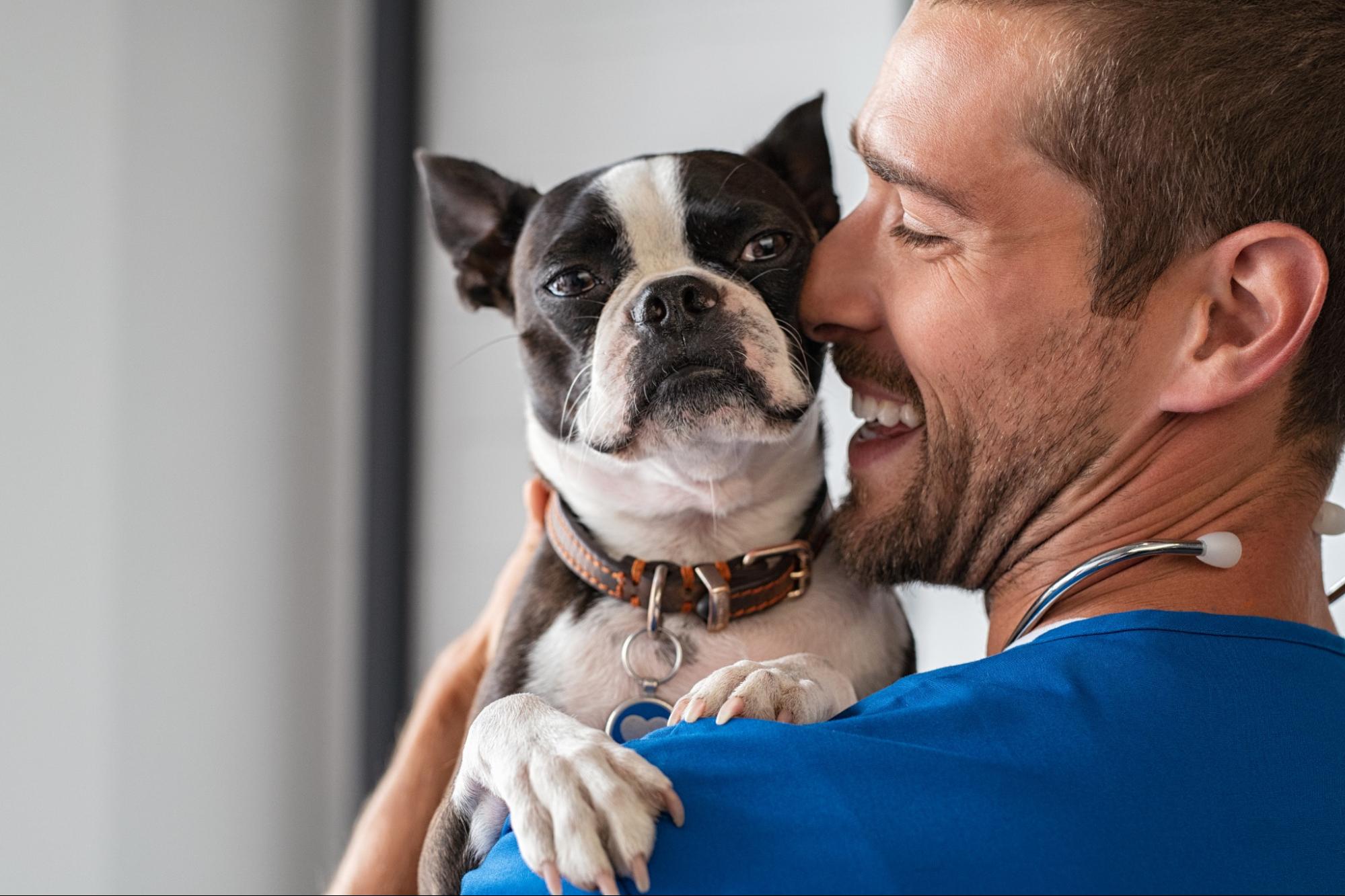 3 Relationships Your Veterinary Practice Management Software Should Build