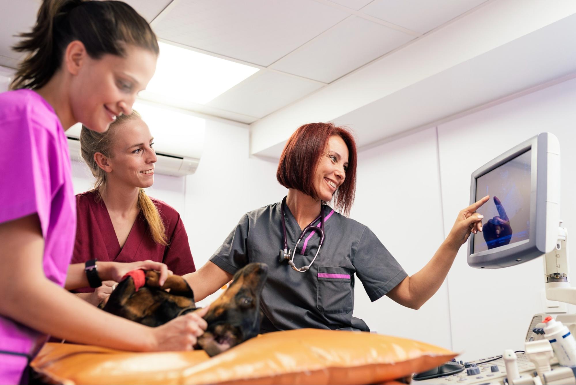 Doctor and Team with patient