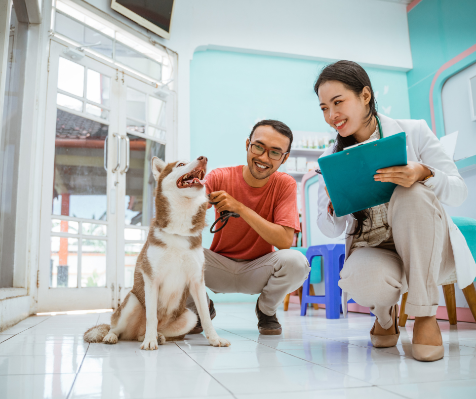 Veterinary professional using AI-powered client communication software