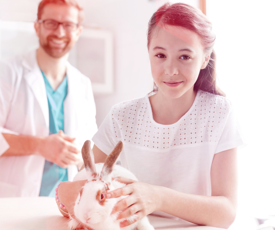 Young client holding a rabbit during a veterinary appointment
