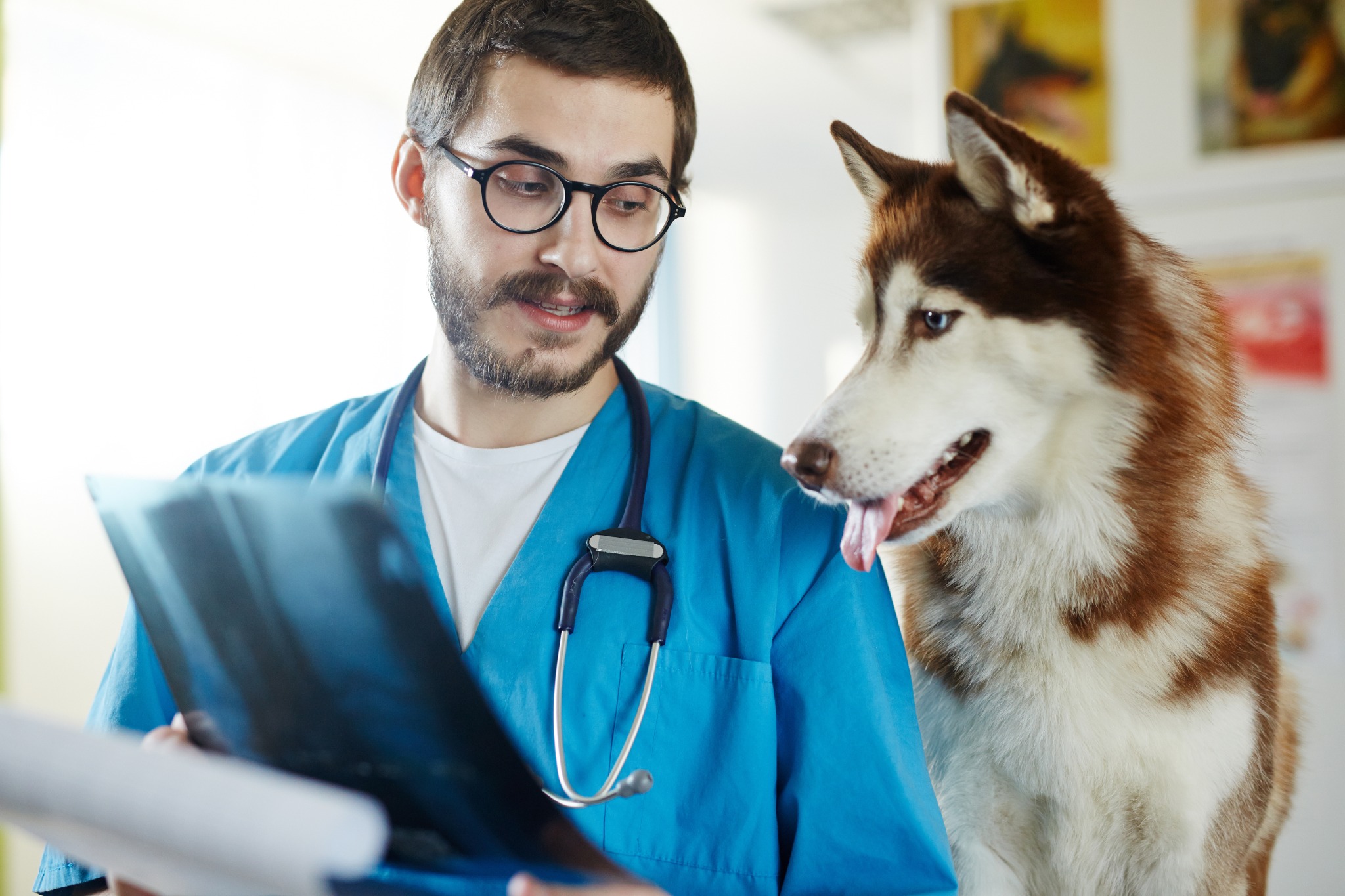 Managing the Asymmetrical Relationships in Your Veterinary Practice