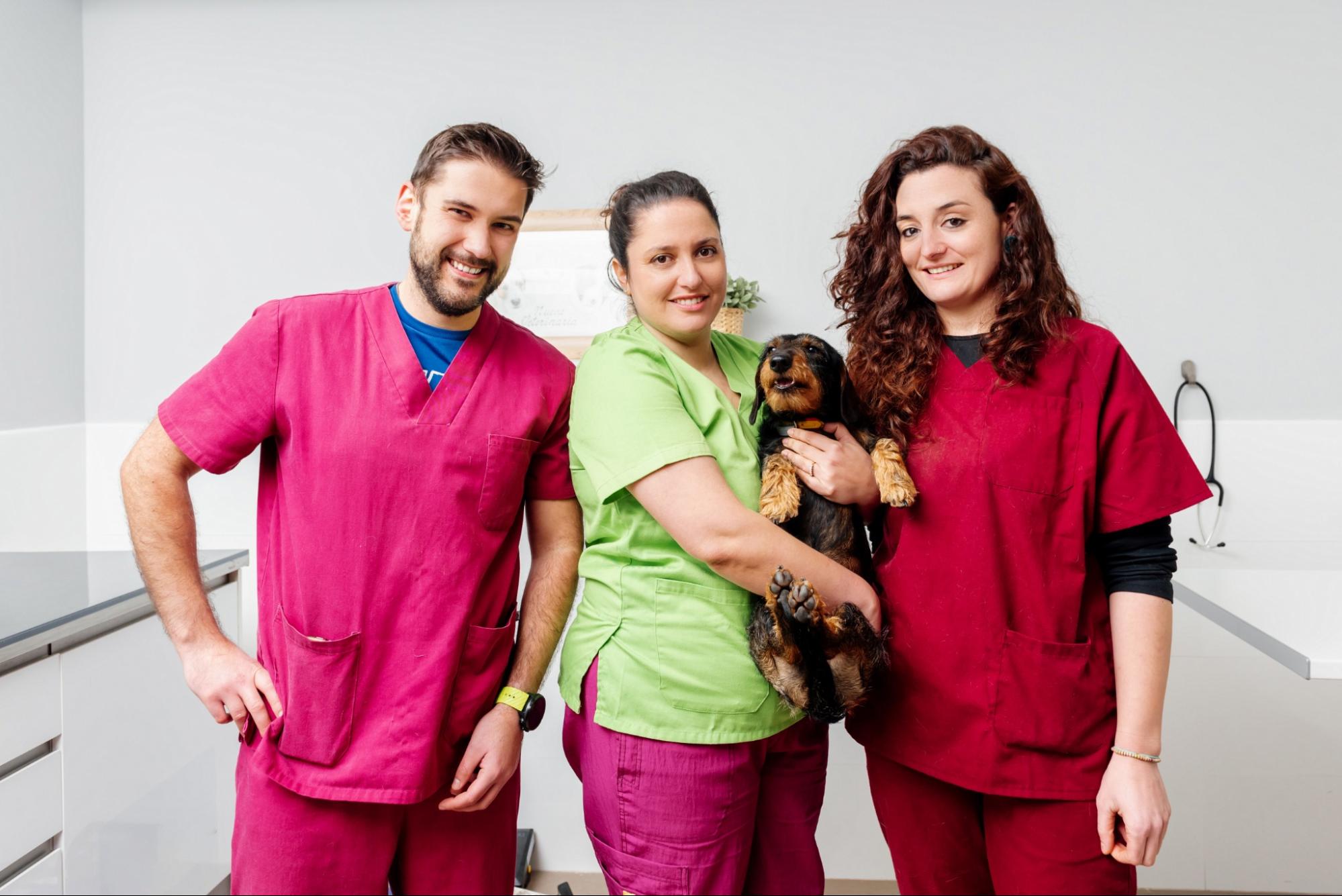 Veterinary Team