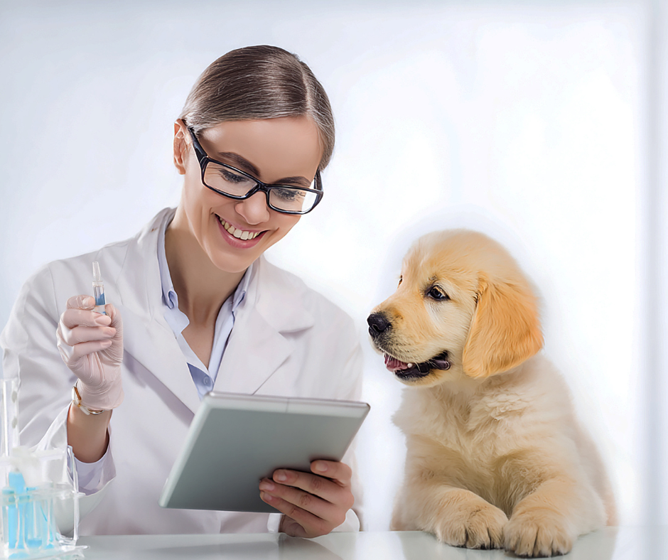 Caring for Pets Comes Naturally. Communicating with People Takes Systems.