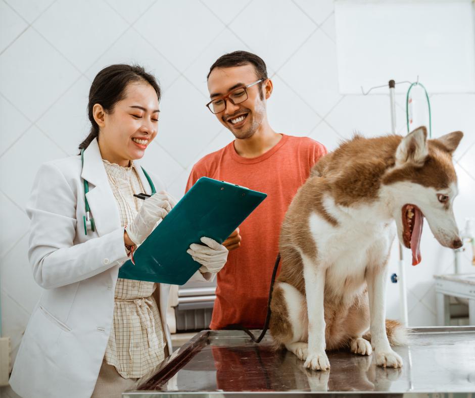 A person and person with a dog