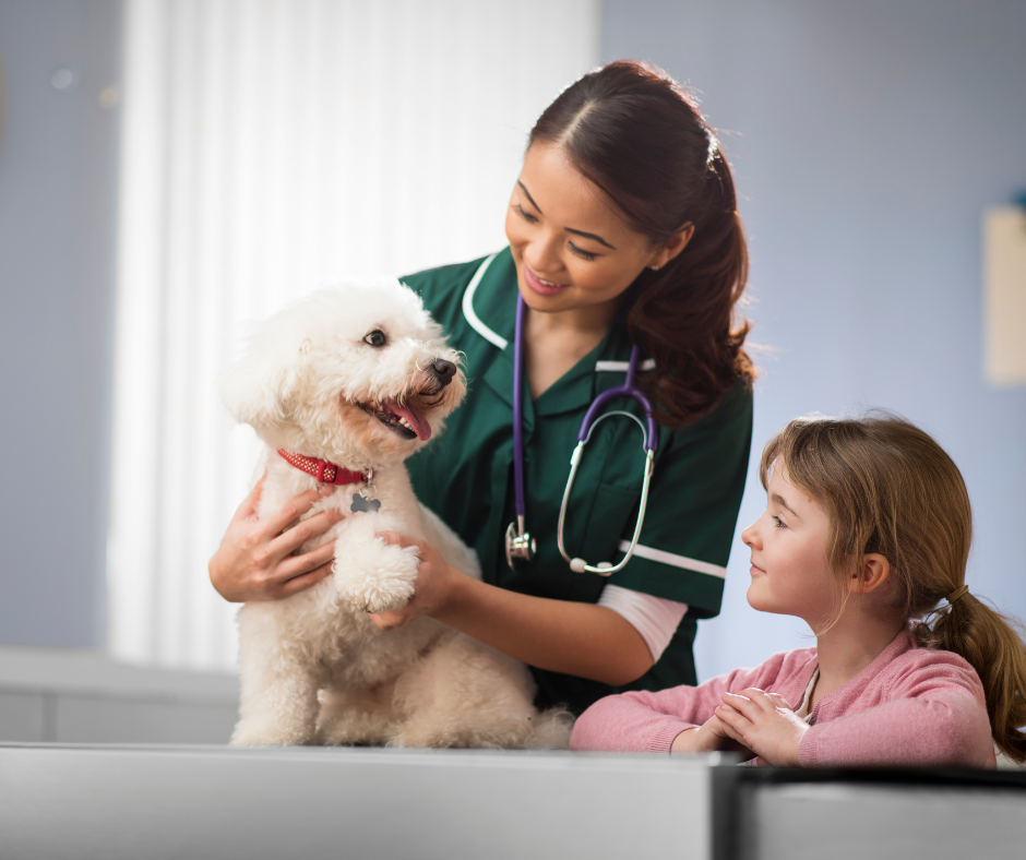 A person and a child with a dog