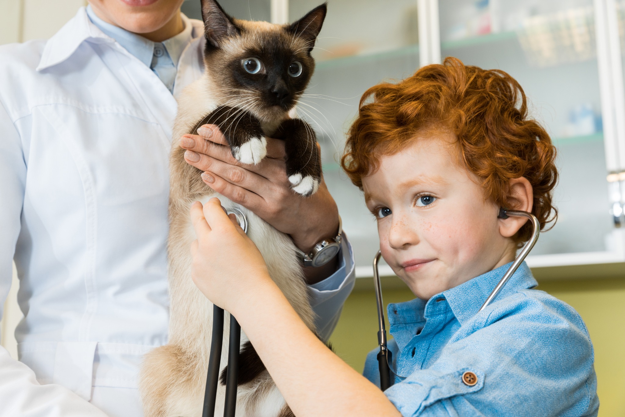 5 Reasons To Connect with Your Vet Clinic Clients