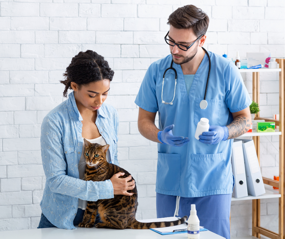 Building connection with veterinary clients