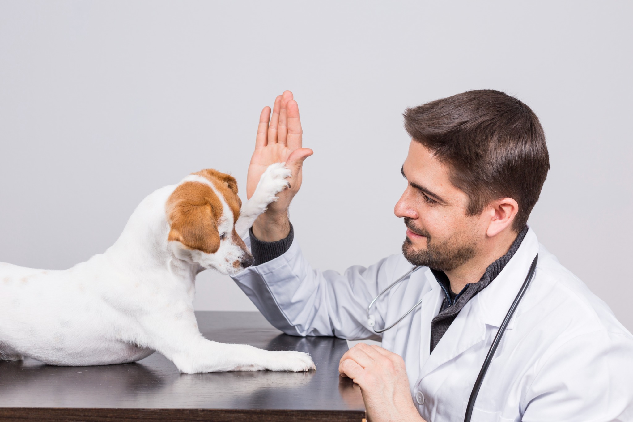 3 Ways To Empower Your Veterinary Clinic Staff
