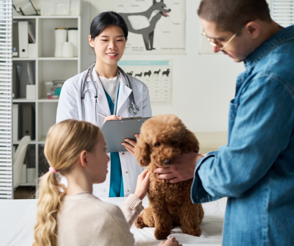 Veterinary technology supporting team communication