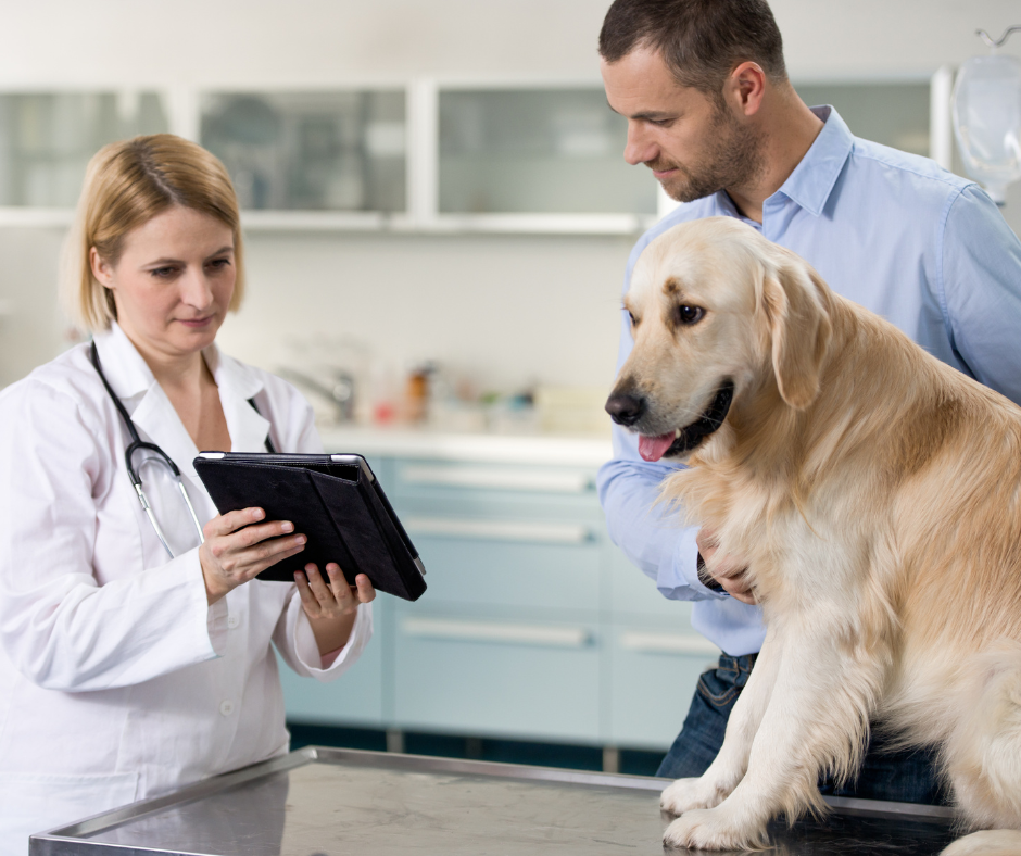 A person and person holding a dog