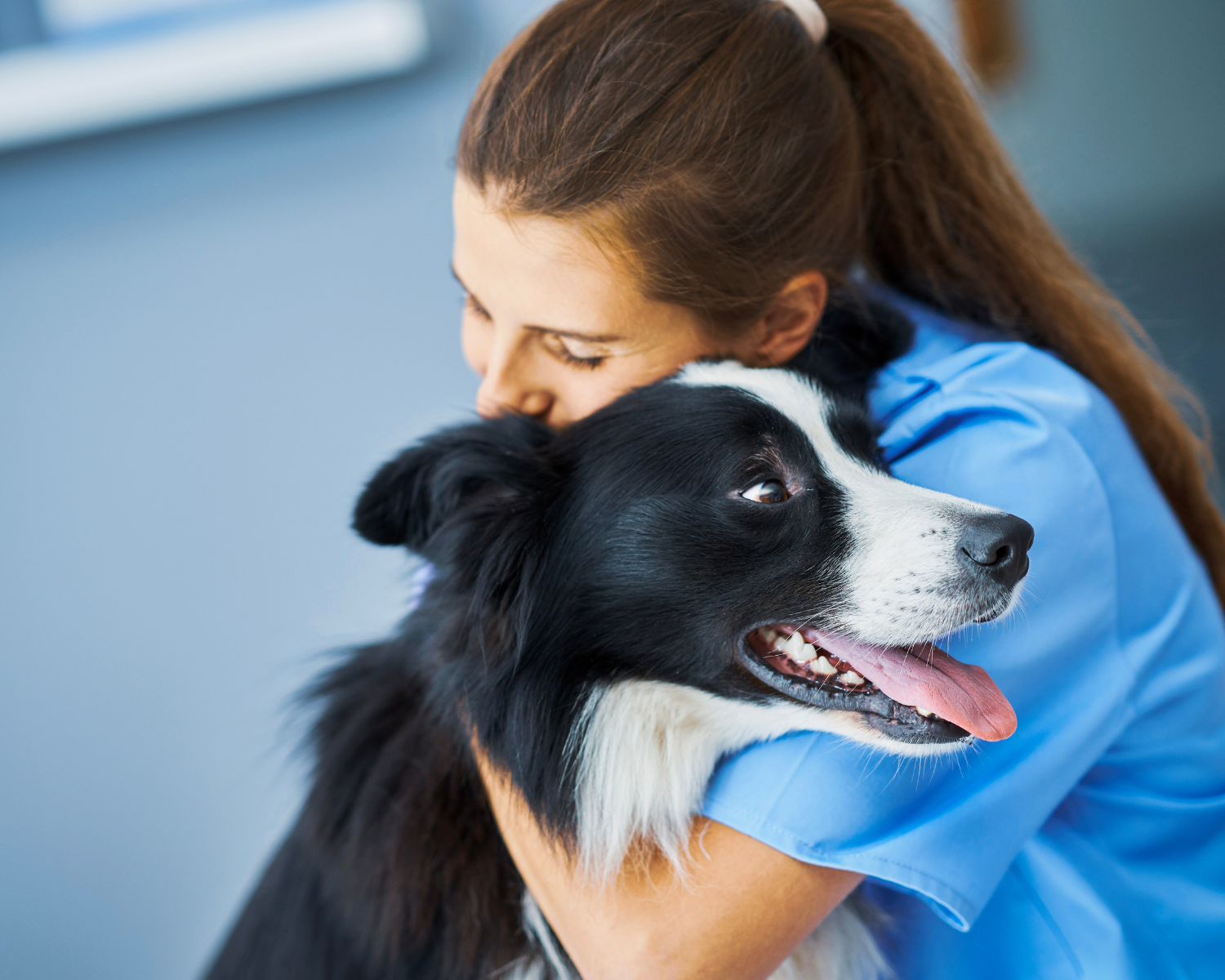A person hugging a dog
