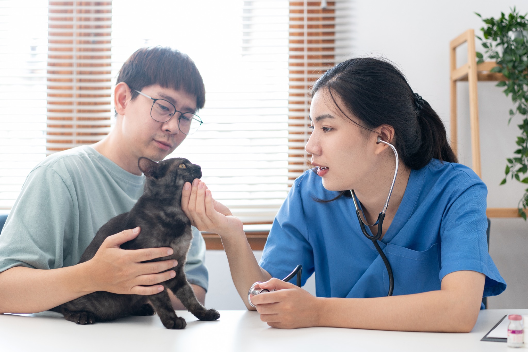 Doctor with Patient and Client