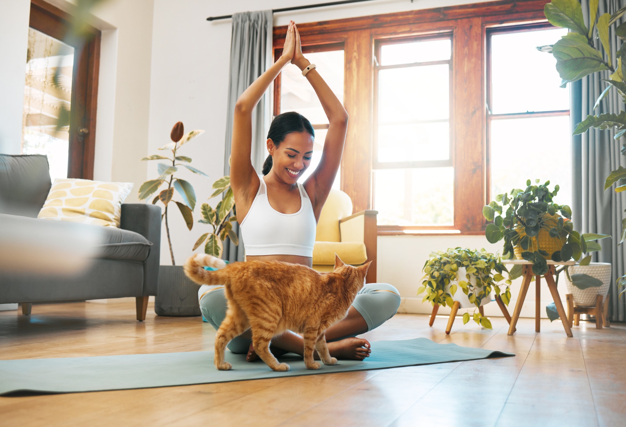How Can Veterinarians Protect Their Time?