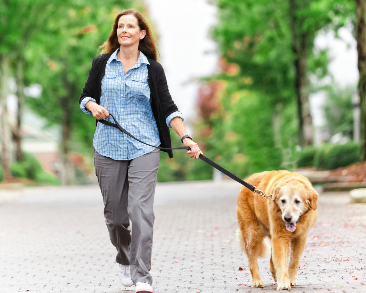 Walking the dog