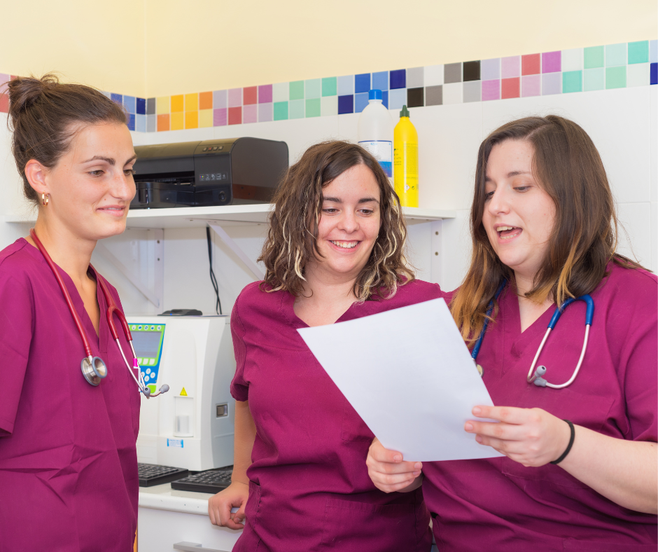 Veterinary clinic workflow