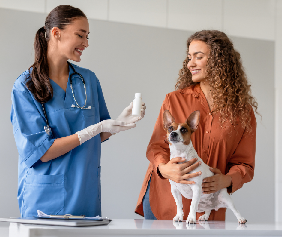 Patient care connected to clinic communication