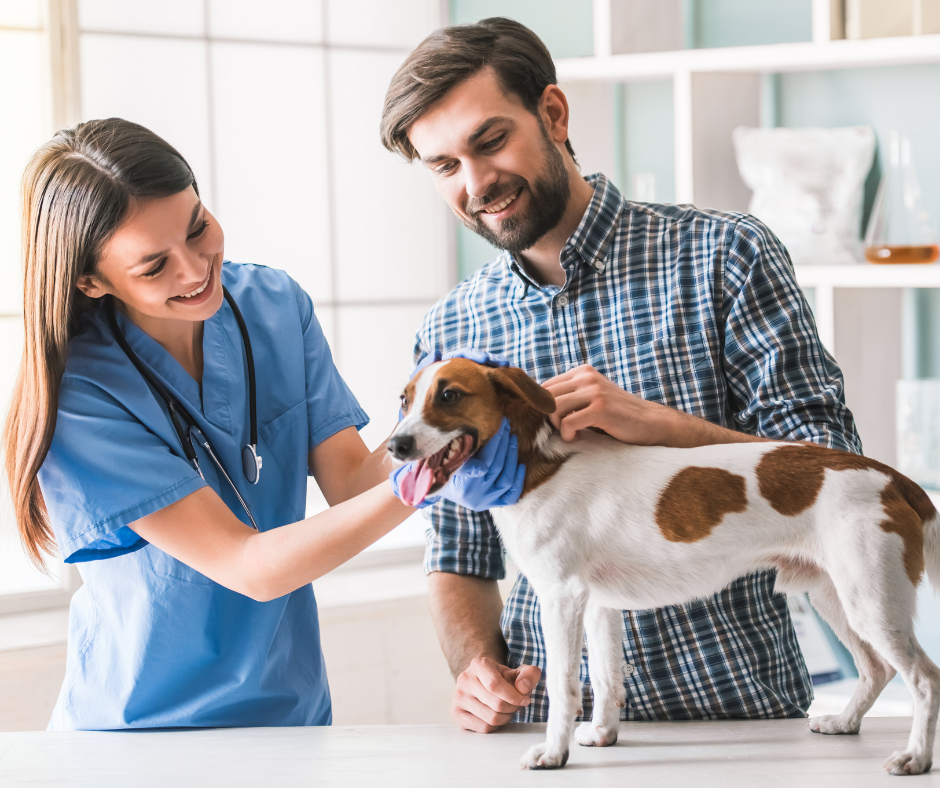 Better systems improve client experience