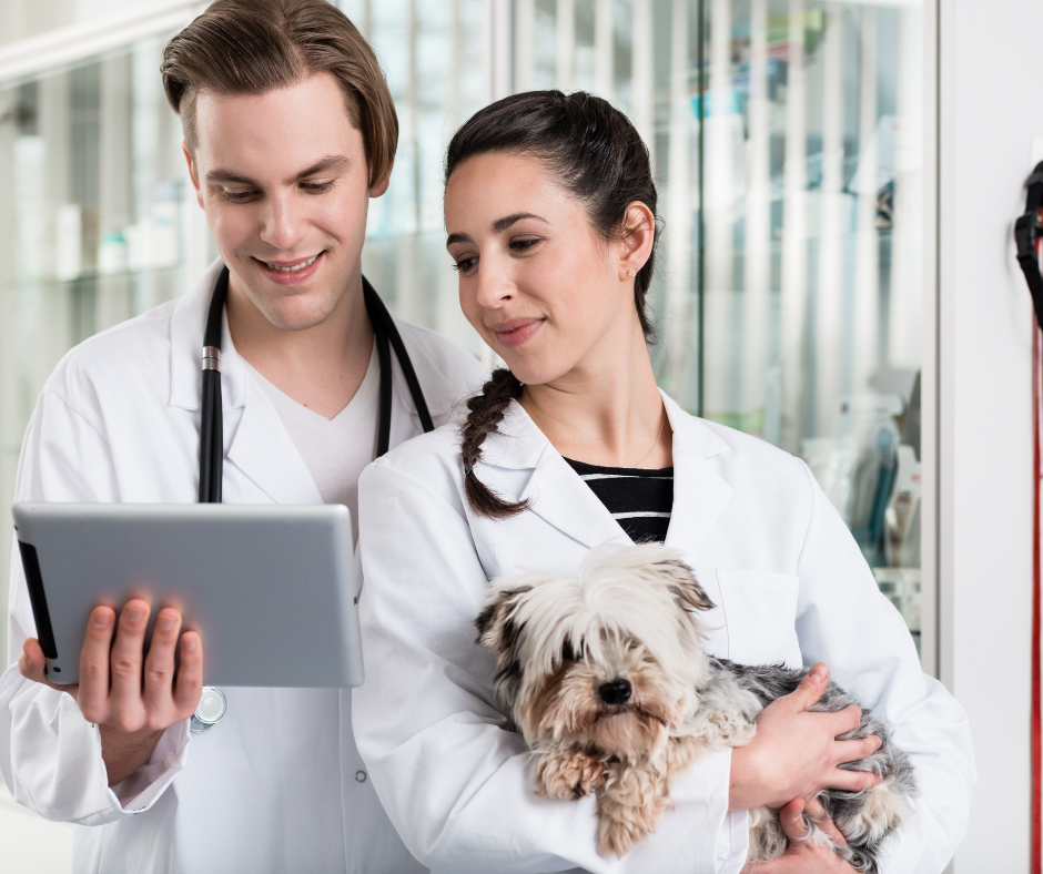 Empowering your team with the right tools