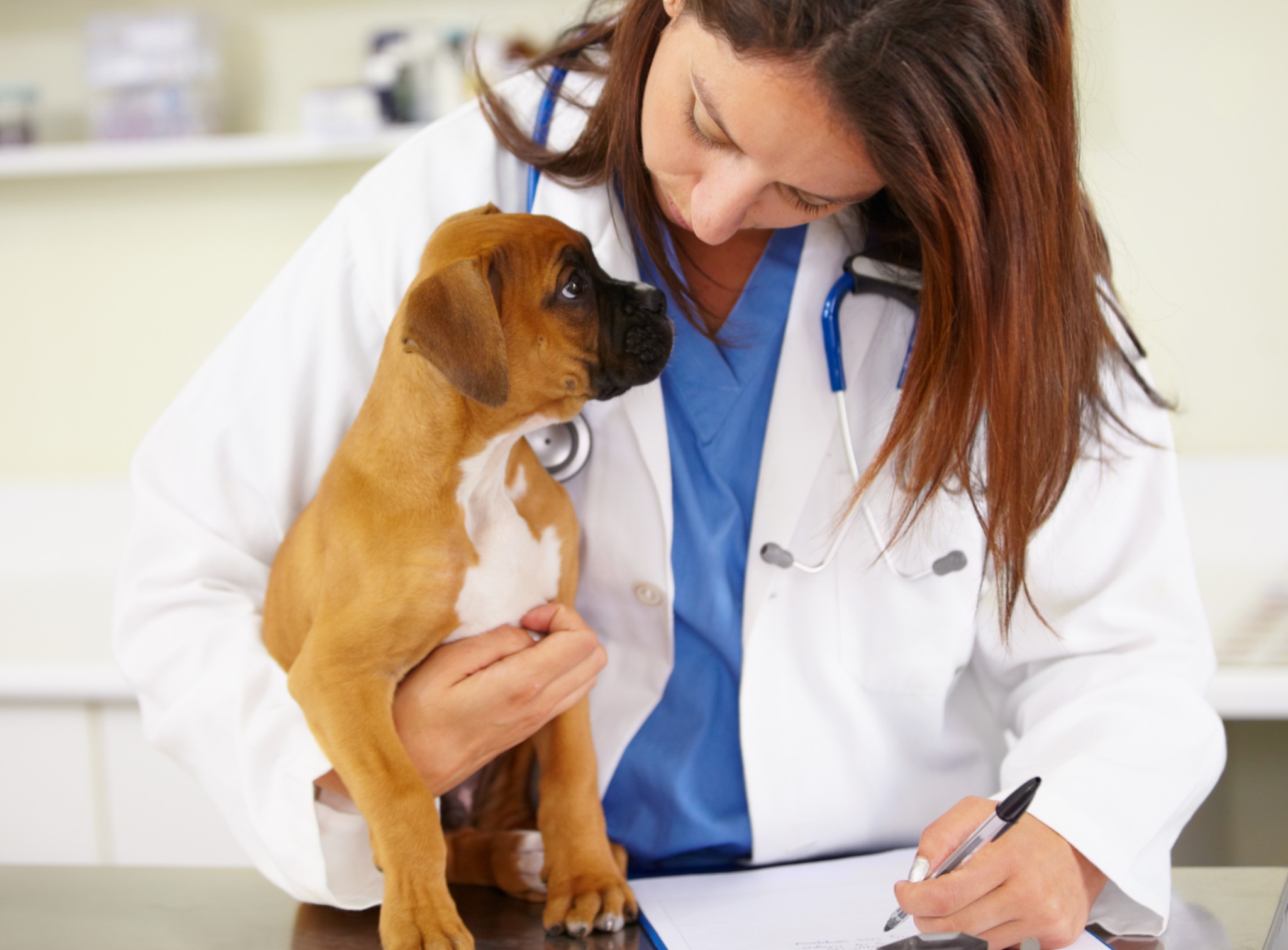 How Software Can Help Veterinarians Build Trust and Open Communication with Clients