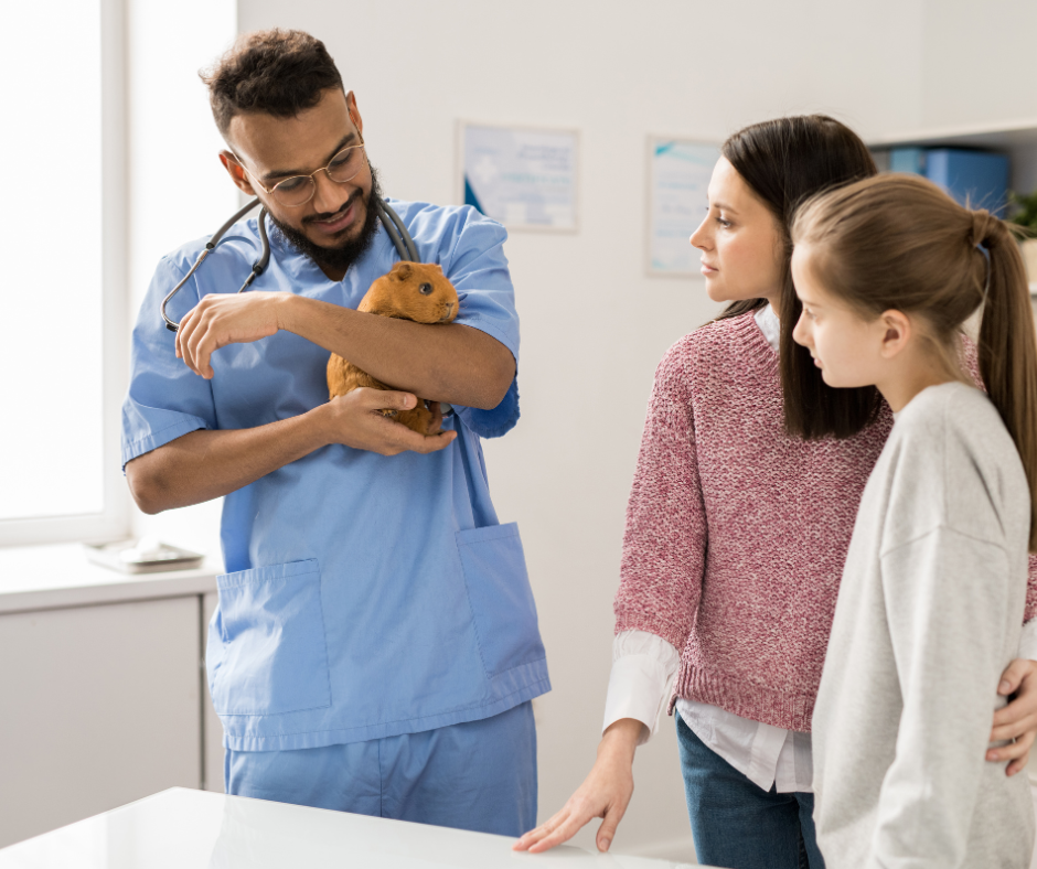 Veterinary receptionist communicating efficiently with clients using management software