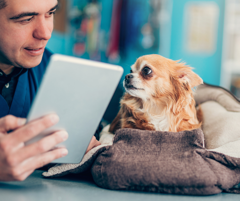 Veterinary professional discussing pet care plan with confident pet owner