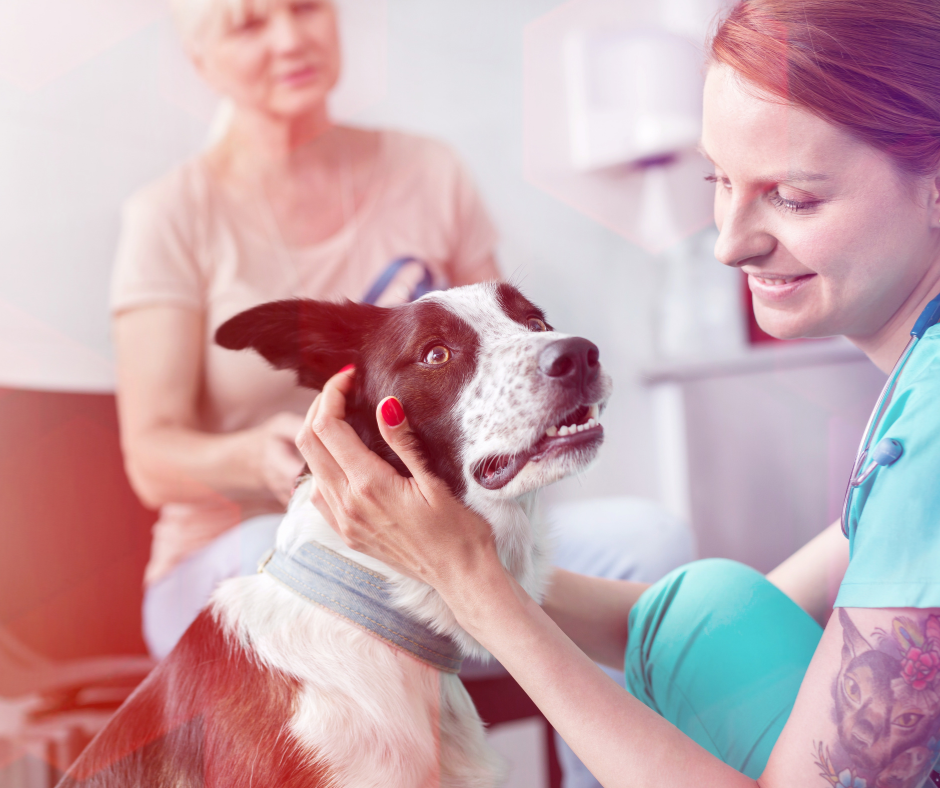 continuity of care builds relationship