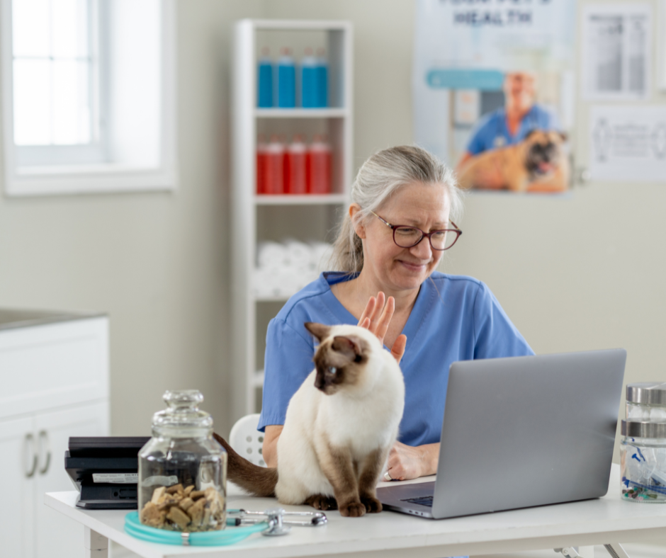 veterinary client communication