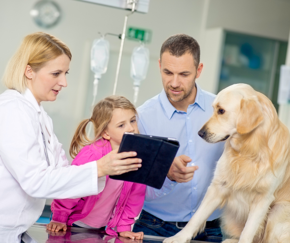 Veterinarian reviewing digital care plan on a tablet with pet owners and their golden retriever