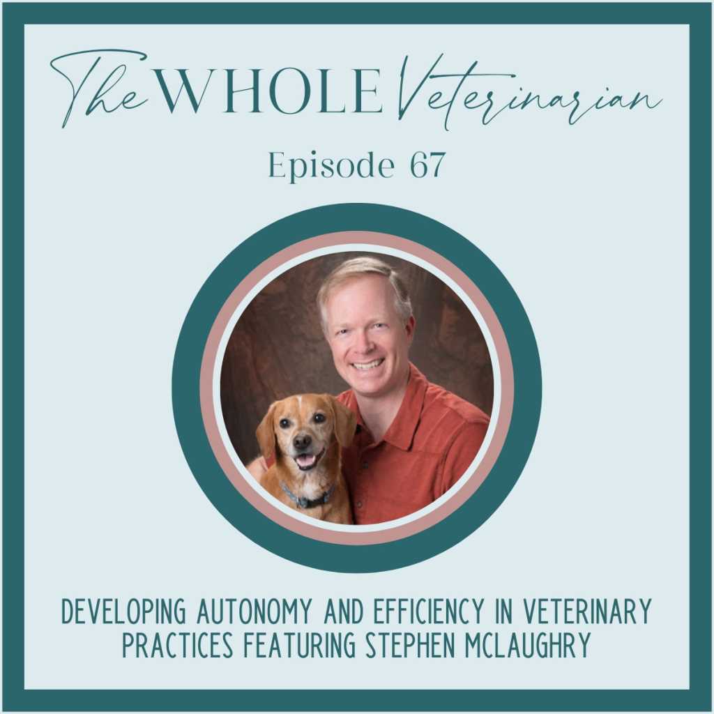Developing Autonomy and Efficiency in Veterinary Practices featuring Stephen McLaughry - The Whole Veterinarian Podcast