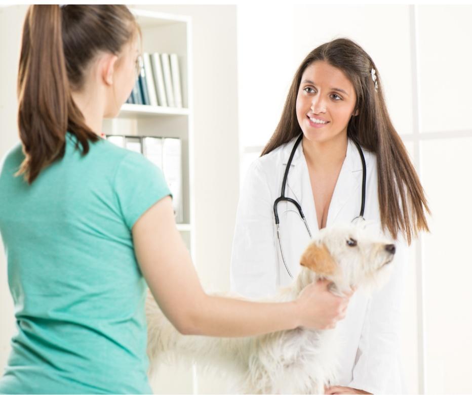 Veterinary team collaborating smoothly at the front desk