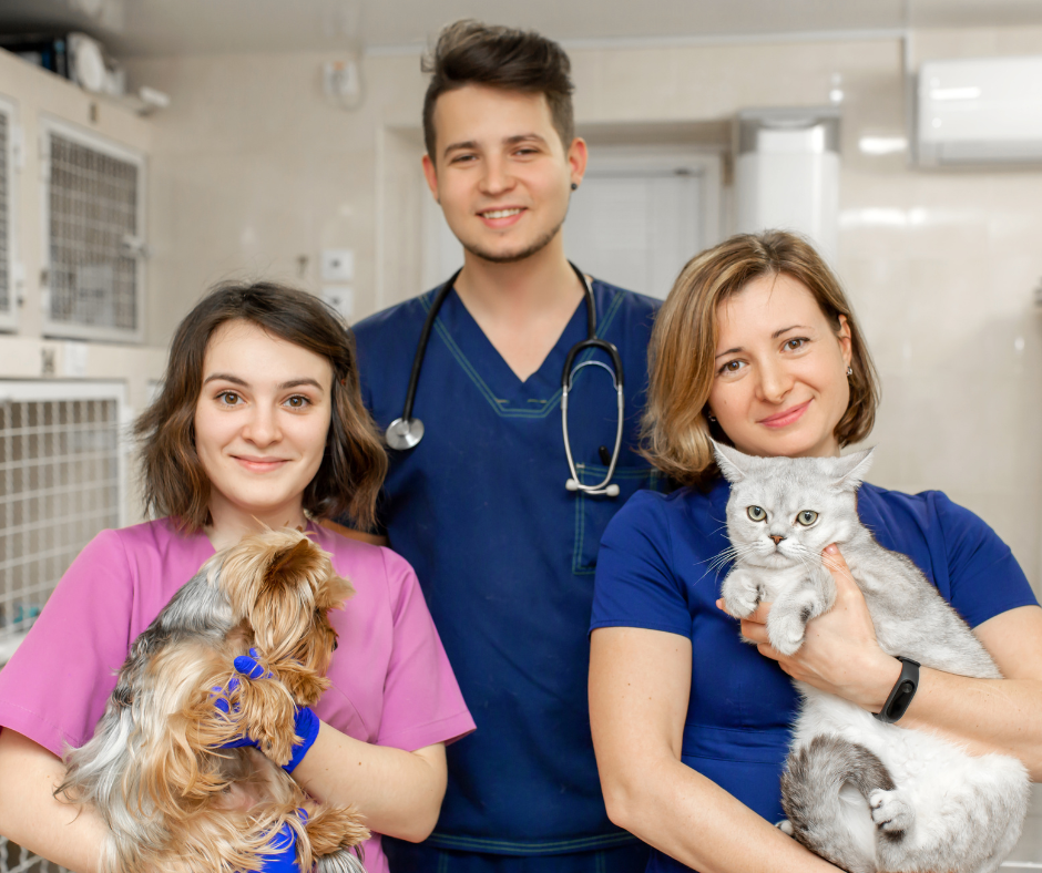 Happy and connected veterinary team member with a patient